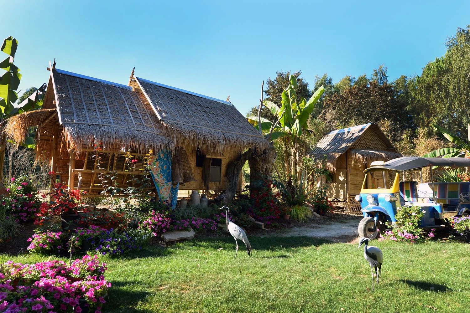 Tropical Parc saint jacut les pains